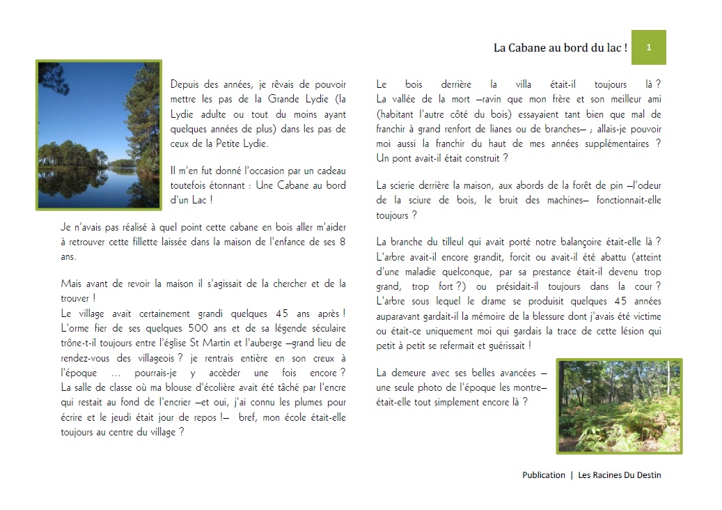 Article LaCabaneAuBordDuLac