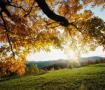 images/google/LesRacinesDuDestin_Automne.jpg