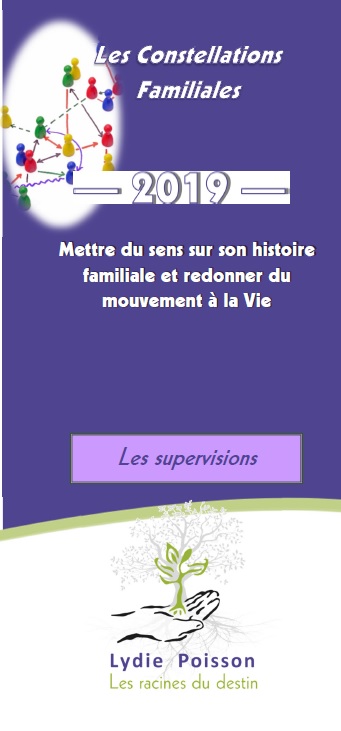 Constellation2019Supervision