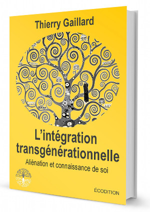 LintegrationTransgenerationnelle